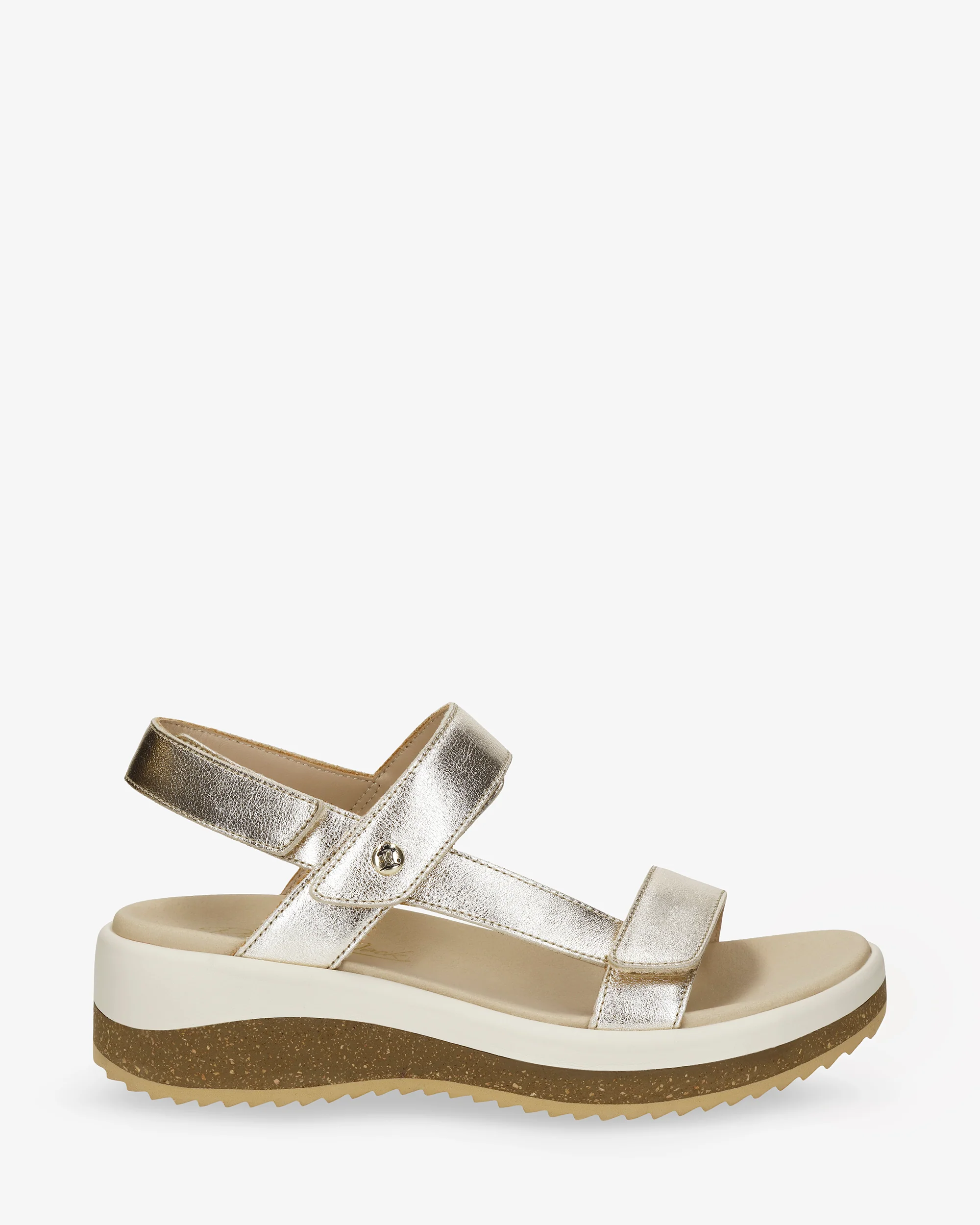 Alana Shine B1 Napa Oro - Image 2