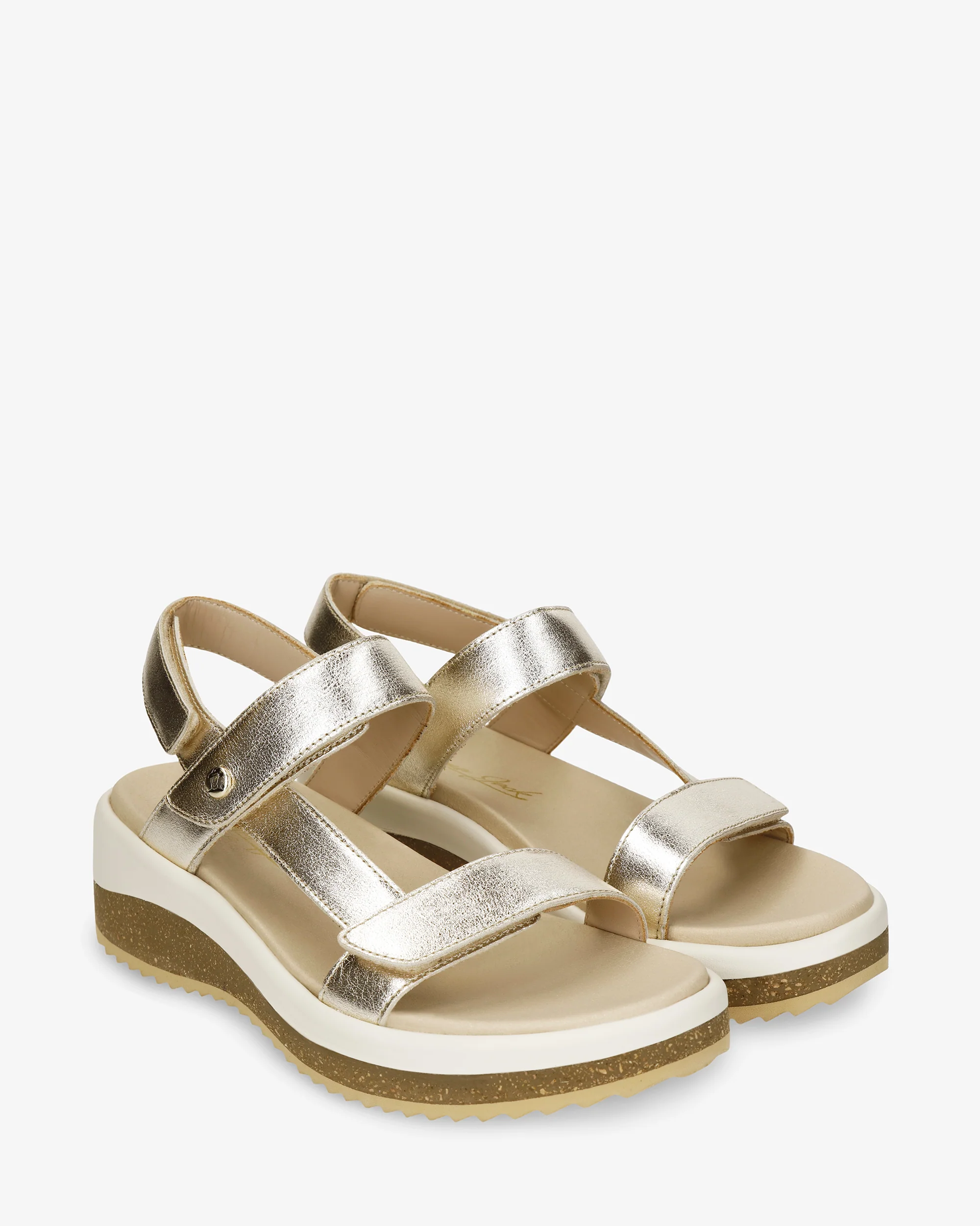 Alana Shine B1 Napa Oro - Image 6