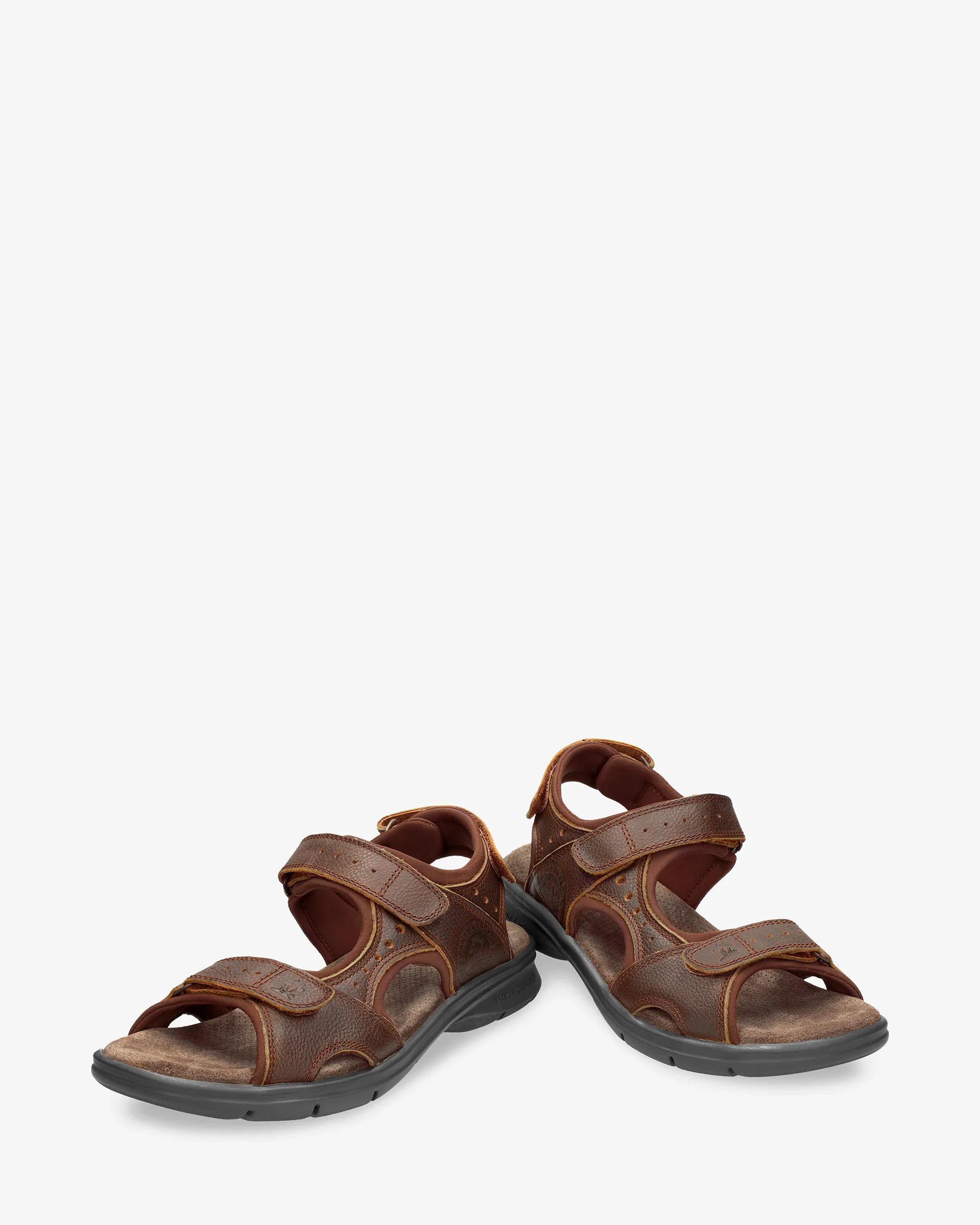 Salton Basics C4 Napa Grass Cuero - Image 11