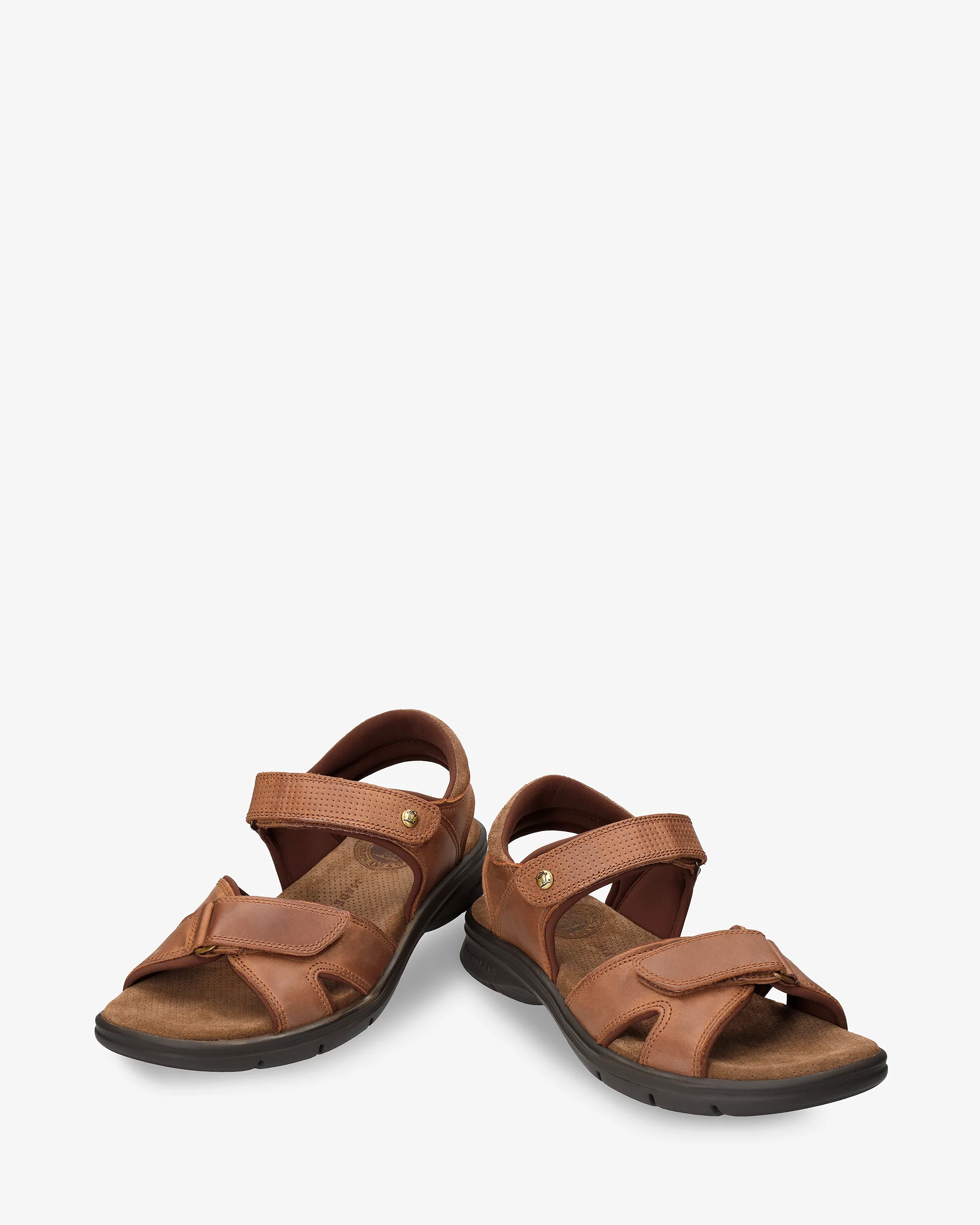 Sanders Basics C4 Napa Grass Cuero - Image 3