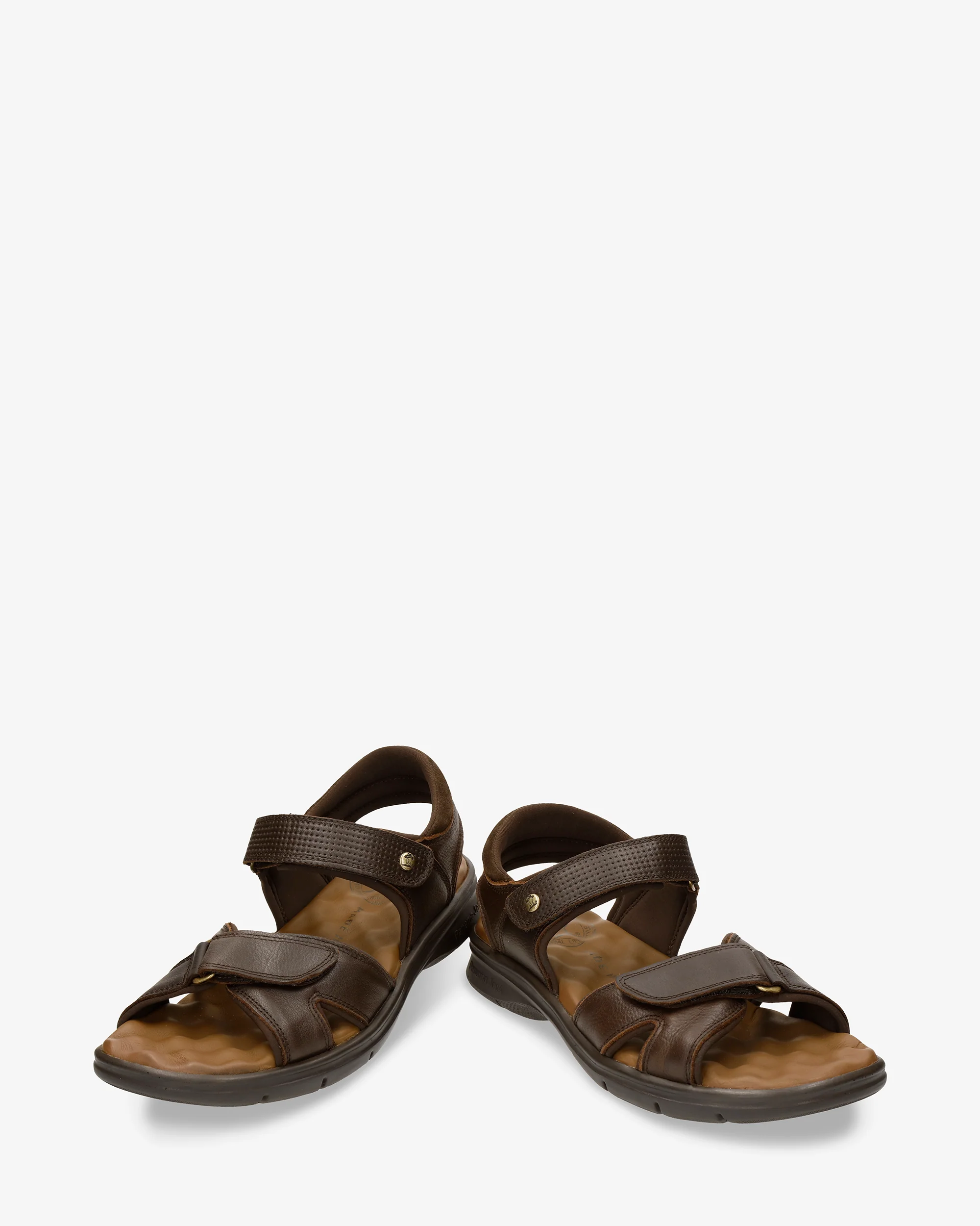 Sanders C17 Napa Grass Marron - Image 4