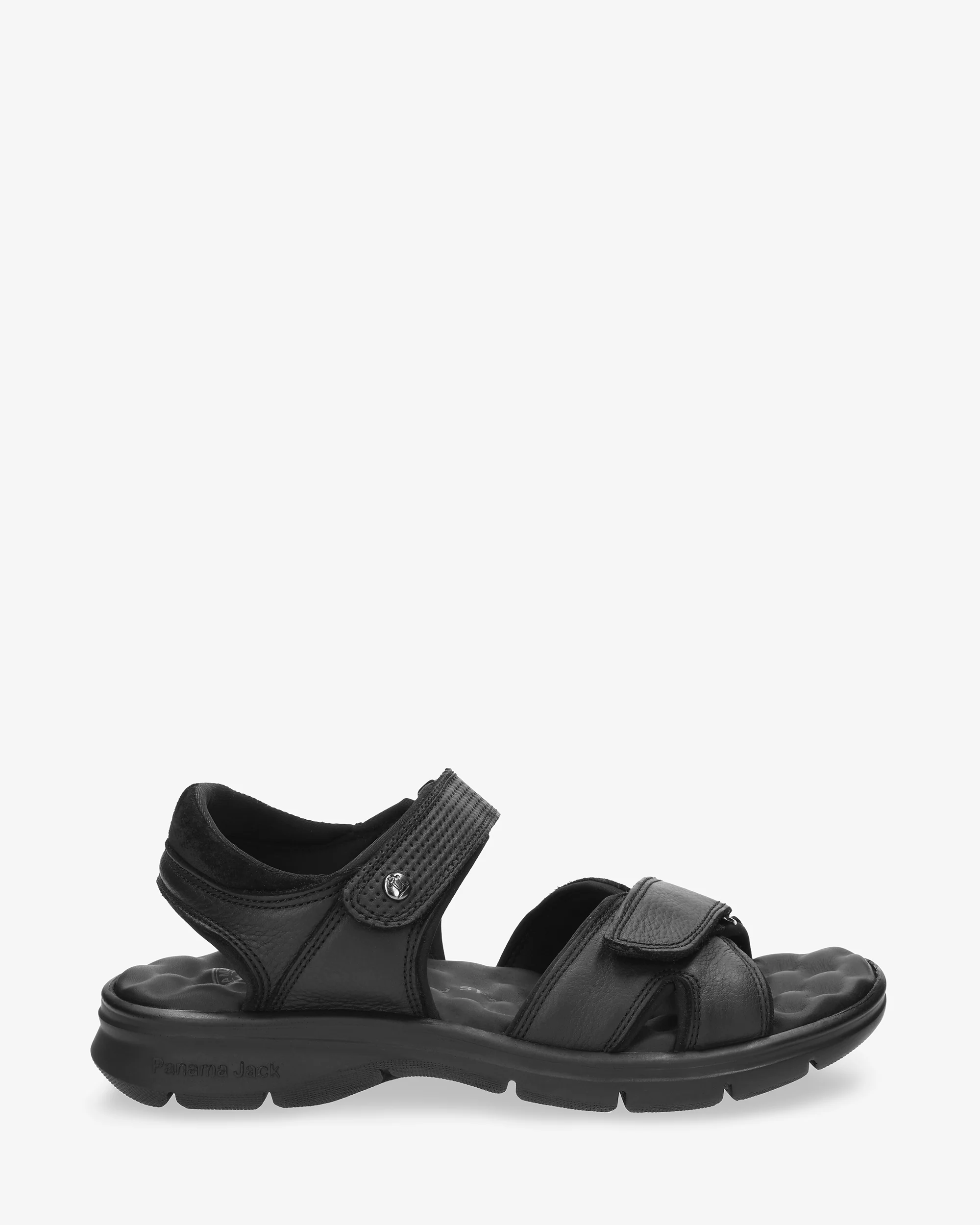 Sanders C18 Napa Grass Negro - Image 2