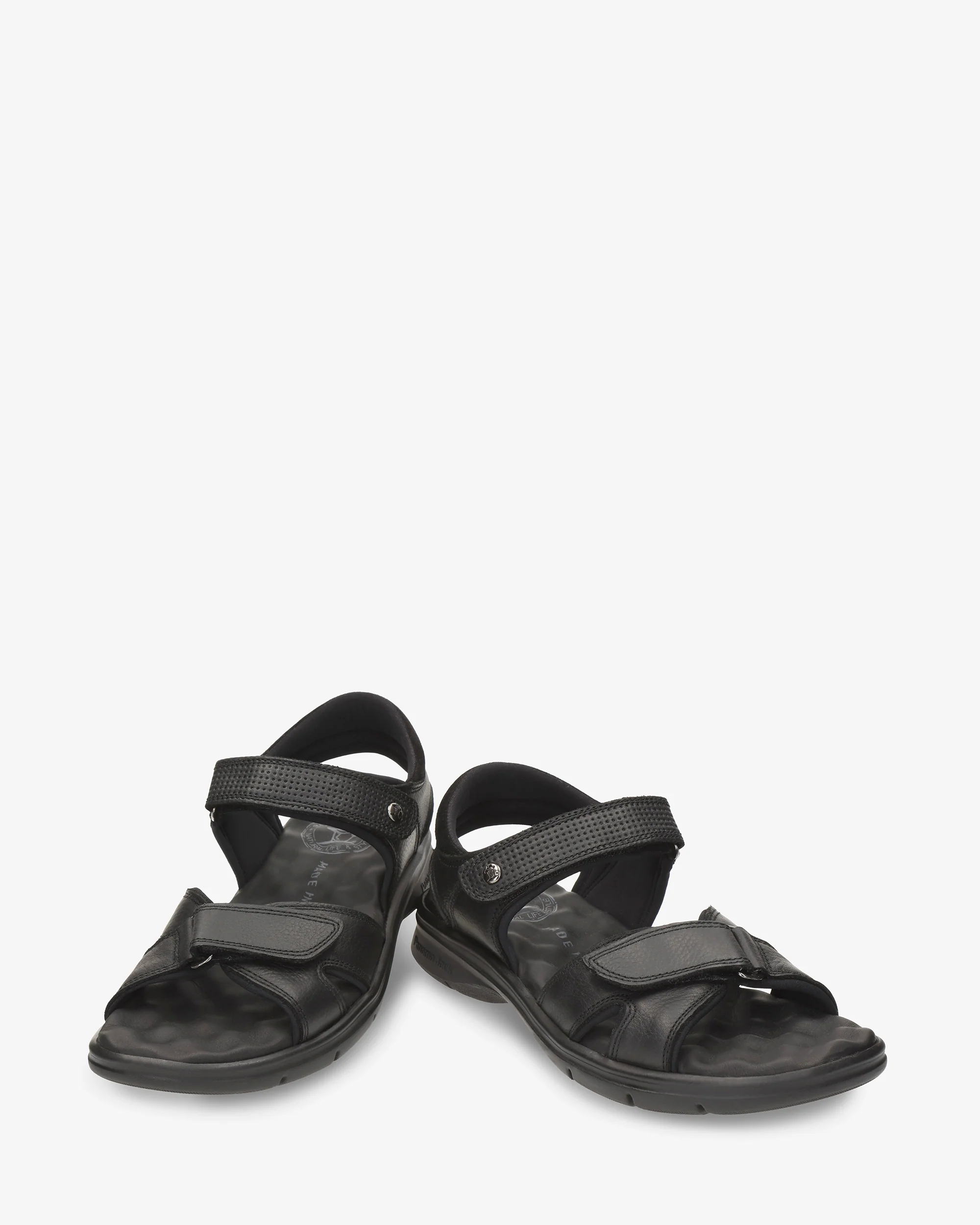 Sanders C18 Napa Grass Negro - Image 5