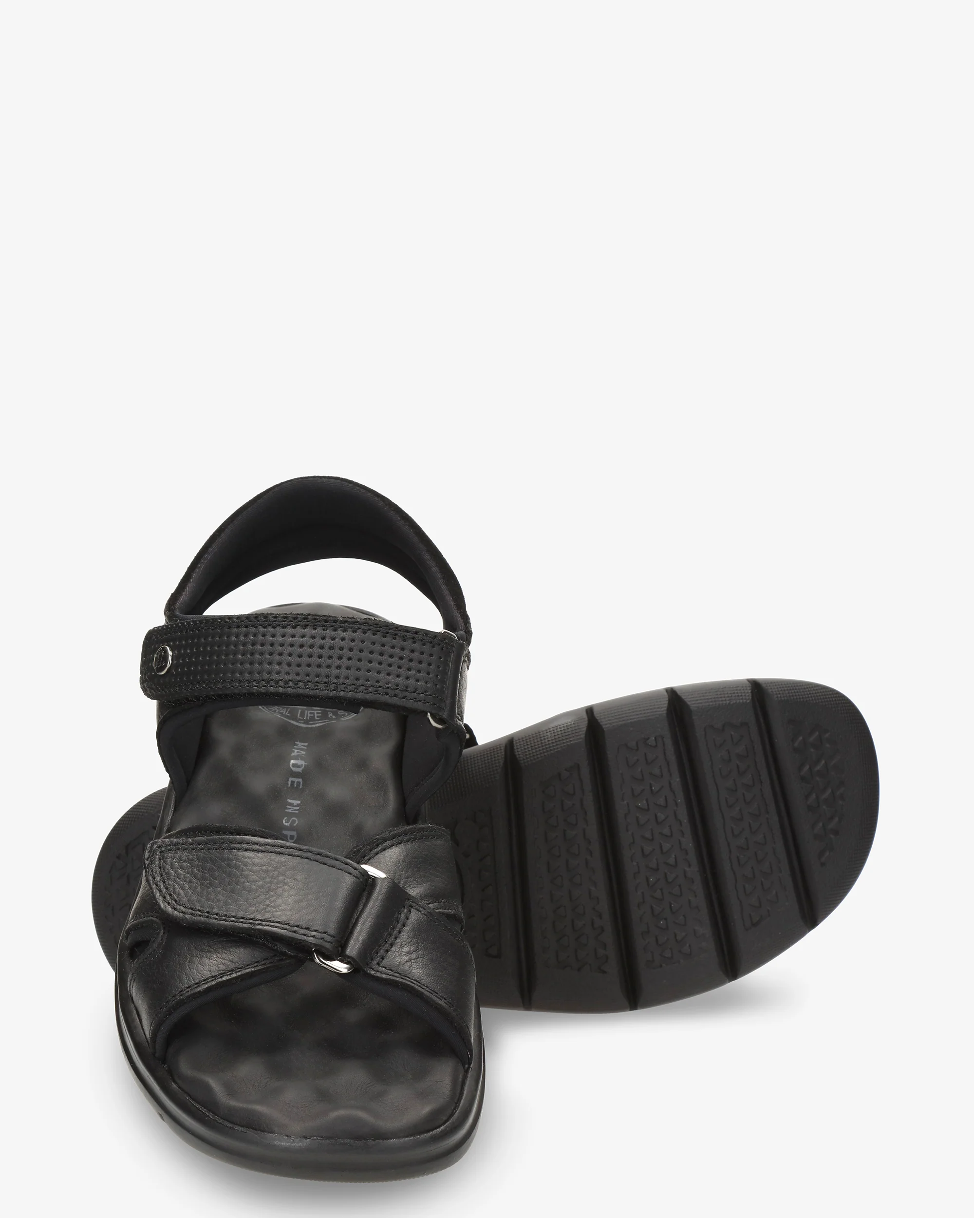 Sanders C18 Napa Grass Negro - Image 6