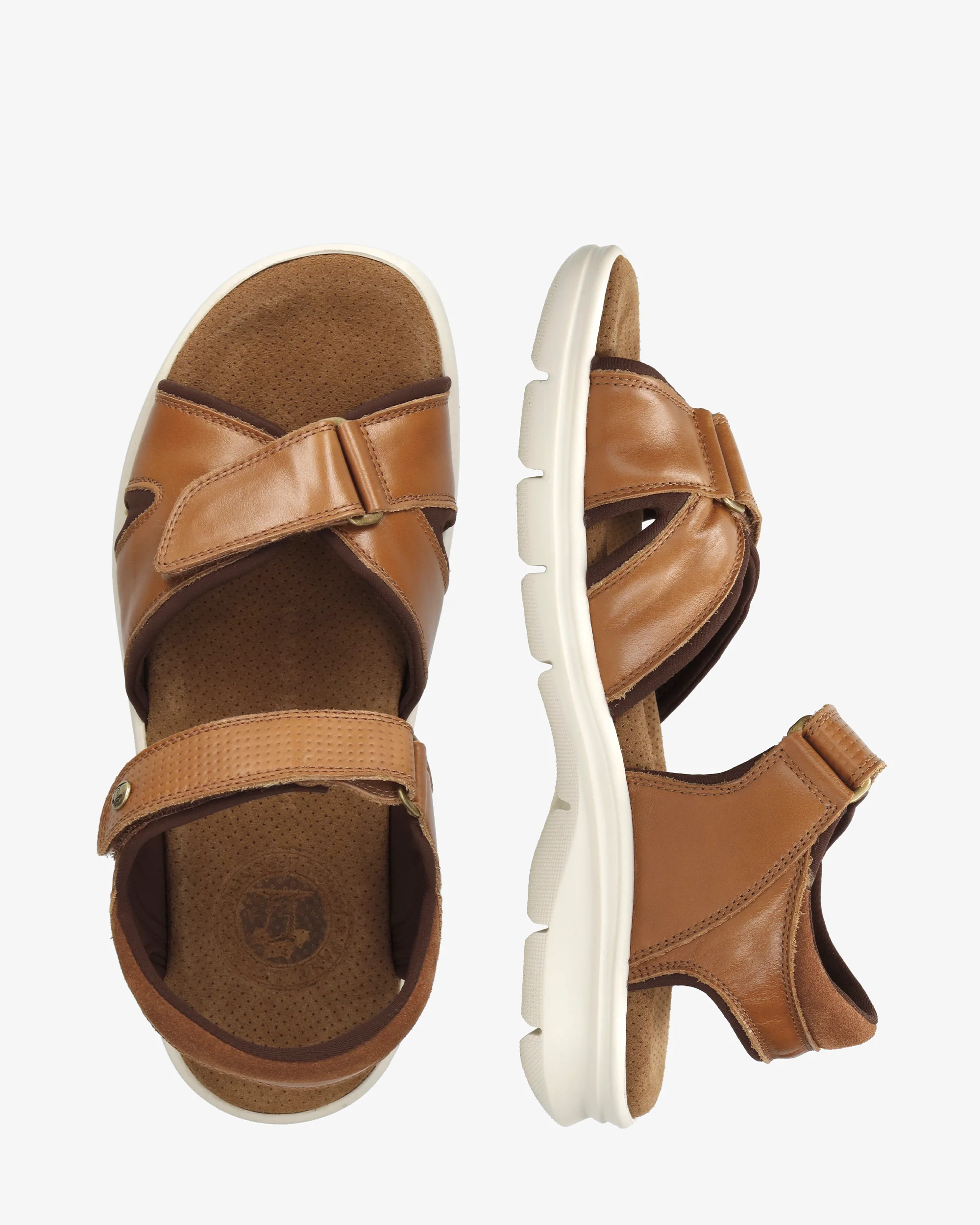 Sanders C27 Napa Cuero - Image 3