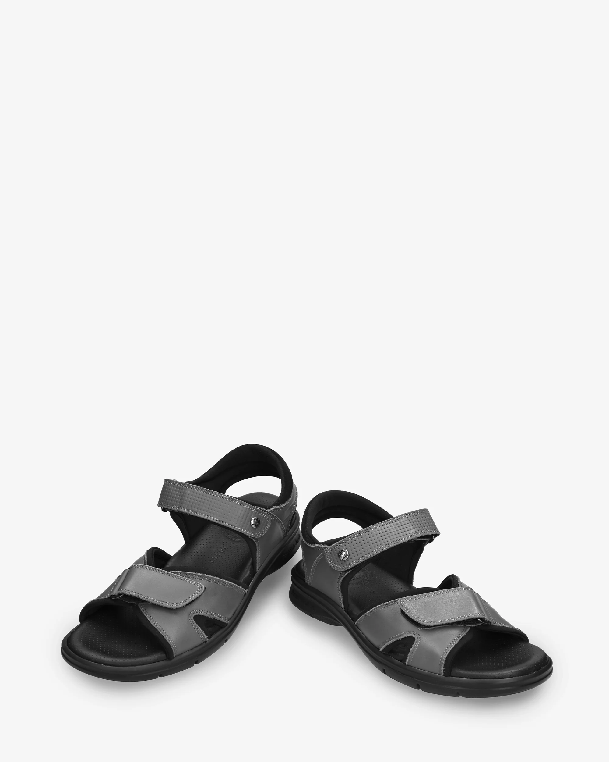 Sanders C29 Napa Gris - Image 4