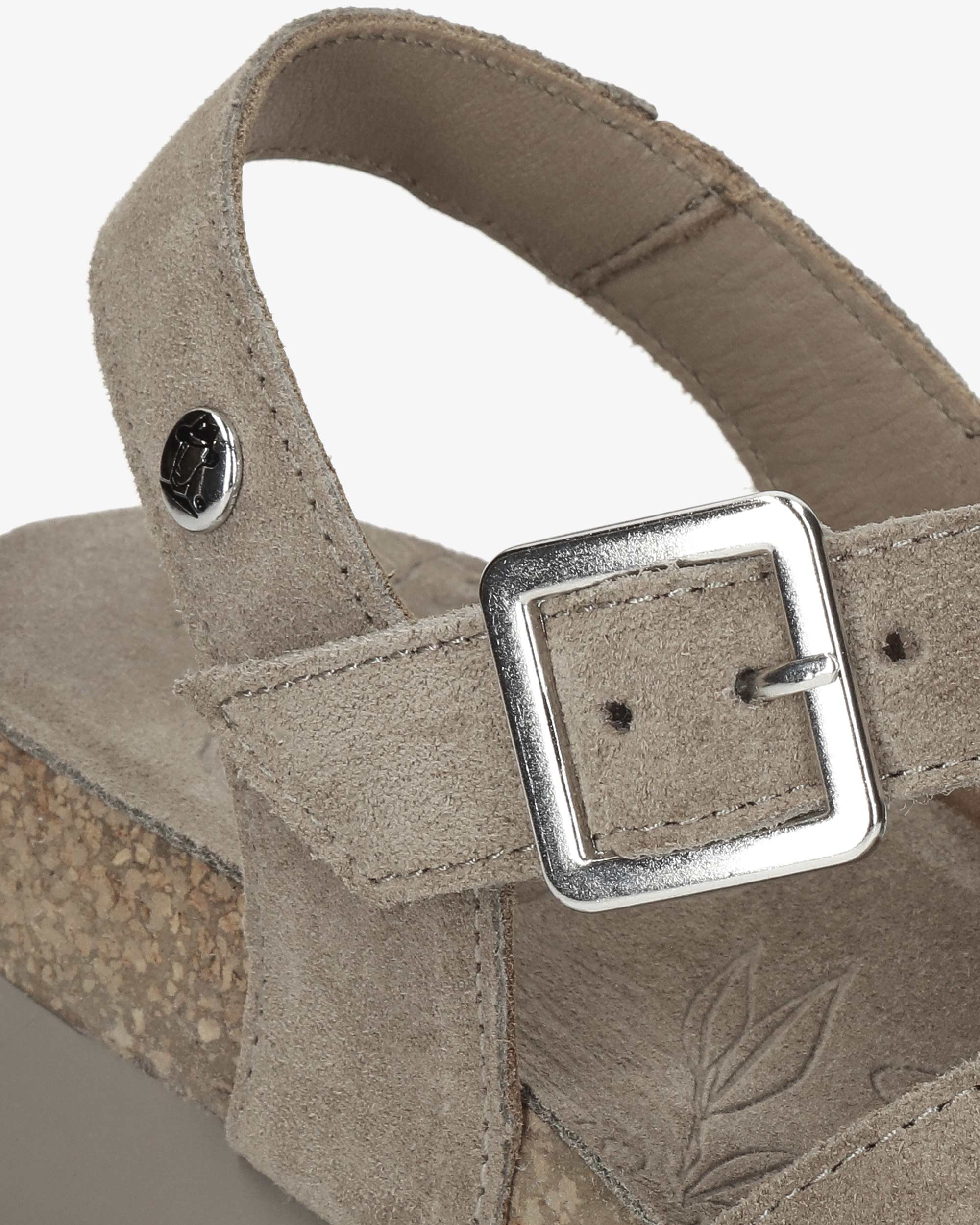 Sasha B4 Velour Taupe - Image 7